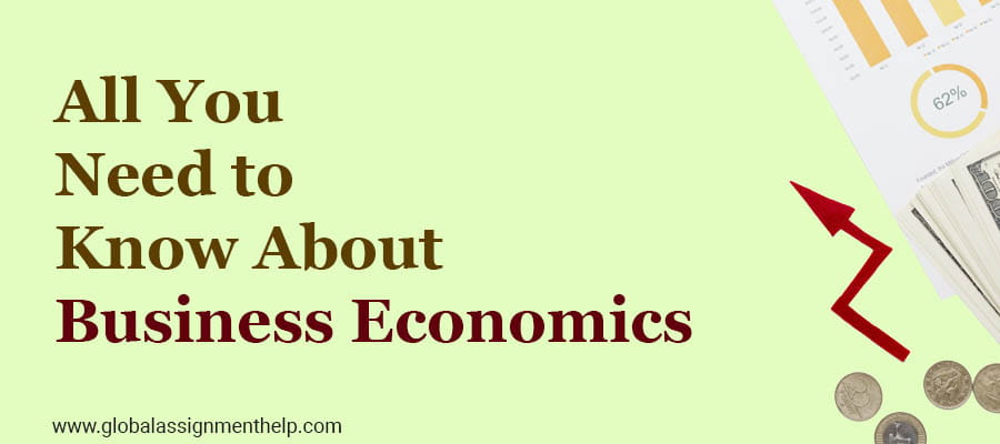 Business Economics Assignment Writing